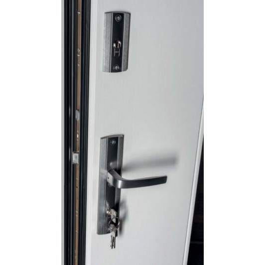 Двері для котеджів D01 RAL 9003